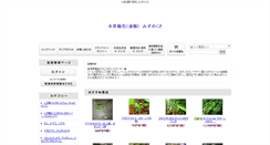 Desktop Screenshot of mizunokusa.com